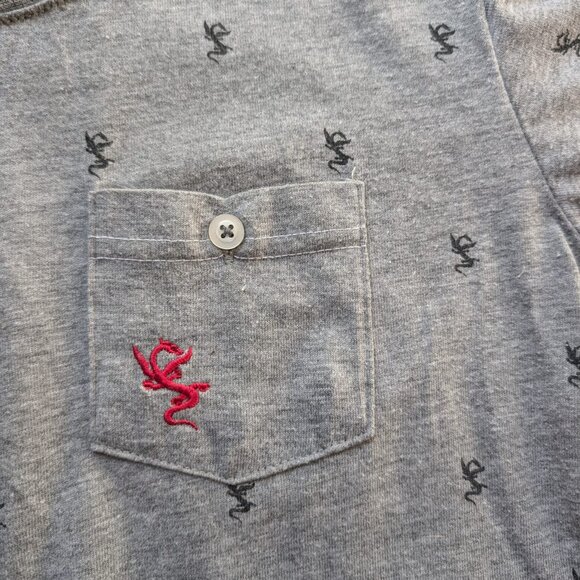 Pilatus Luzern Youth's Gray Graphic T-Shirt Size M Swiss Flag Dragon Print - Picture 4 of 8